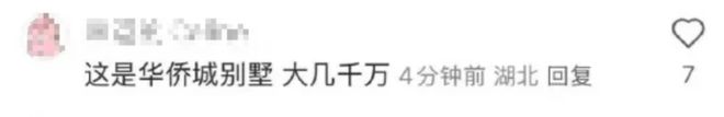 钿甜家里的10个好货！开元棋牌网站扒一扒黄杨(图3)