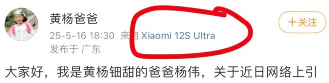钿甜家里的10个好货！开元棋牌网站扒一扒黄杨(图8)