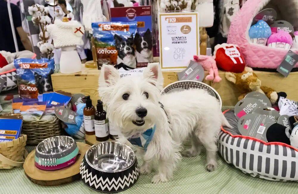 这些掘金tips不容错过!开元棋牌中东电商旺季来临(图8) 这些掘金tips不容错过!开元棋牌中东电商旺季来临(图8)